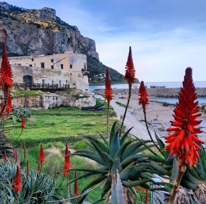Bleu Bijou Apartment Palermo Exteriér fotografie